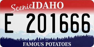 ID license plate E201666