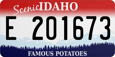 ID license plate E201673