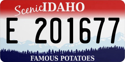 ID license plate E201677