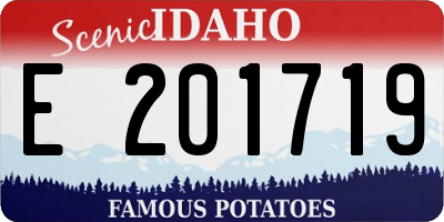 ID license plate E201719
