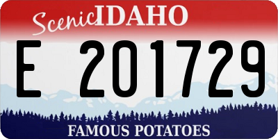 ID license plate E201729