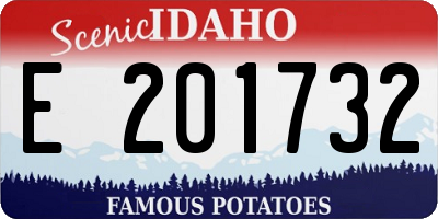 ID license plate E201732
