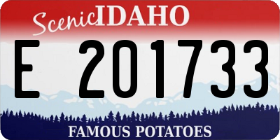 ID license plate E201733