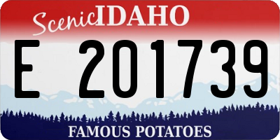 ID license plate E201739
