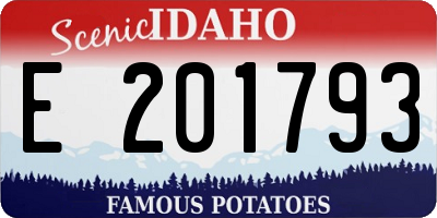 ID license plate E201793