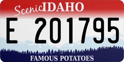 ID license plate E201795