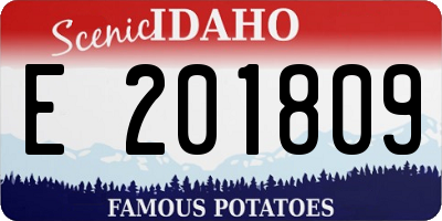 ID license plate E201809