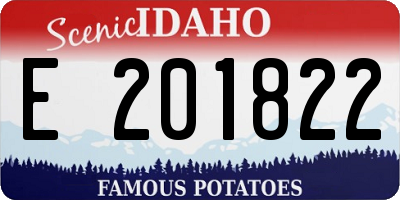ID license plate E201822