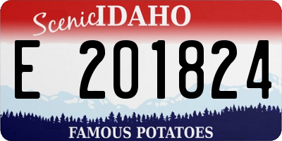 ID license plate E201824