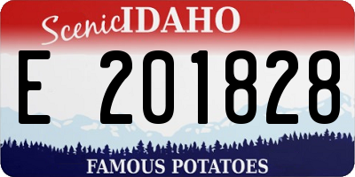 ID license plate E201828