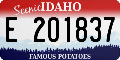 ID license plate E201837