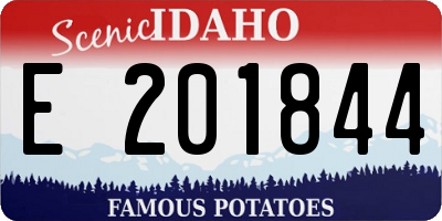 ID license plate E201844