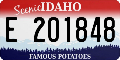 ID license plate E201848