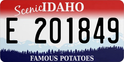 ID license plate E201849