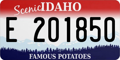 ID license plate E201850