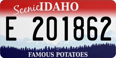 ID license plate E201862