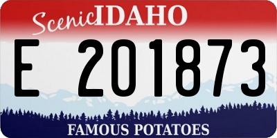 ID license plate E201873