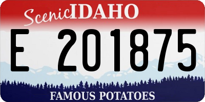ID license plate E201875