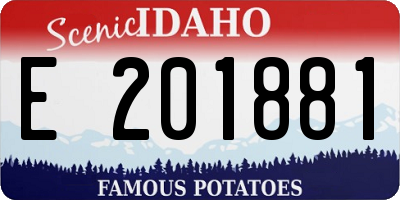 ID license plate E201881