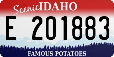 ID license plate E201883