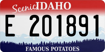 ID license plate E201891