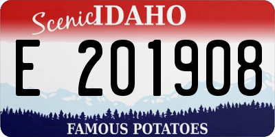 ID license plate E201908