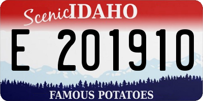 ID license plate E201910