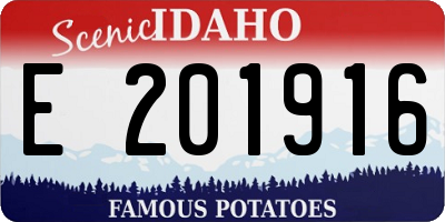 ID license plate E201916