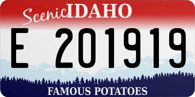 ID license plate E201919