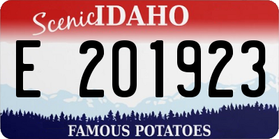 ID license plate E201923