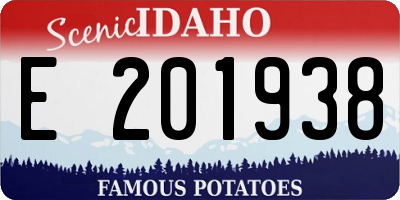 ID license plate E201938