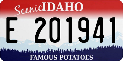 ID license plate E201941