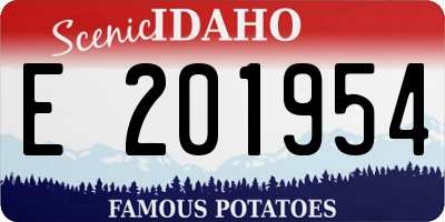 ID license plate E201954