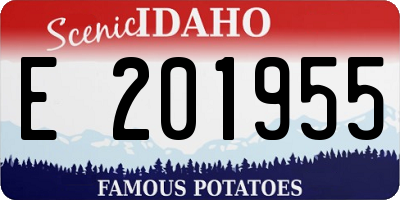 ID license plate E201955