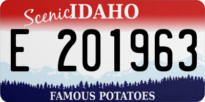 ID license plate E201963