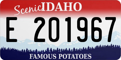 ID license plate E201967