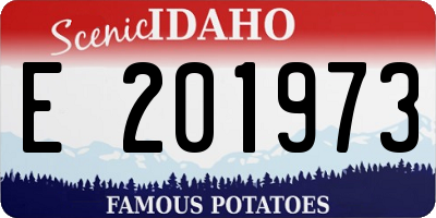 ID license plate E201973