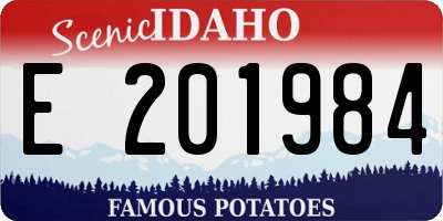 ID license plate E201984