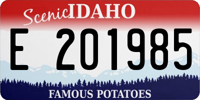 ID license plate E201985