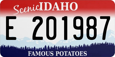 ID license plate E201987