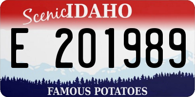 ID license plate E201989