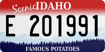 ID license plate E201991