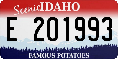 ID license plate E201993