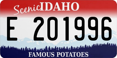 ID license plate E201996