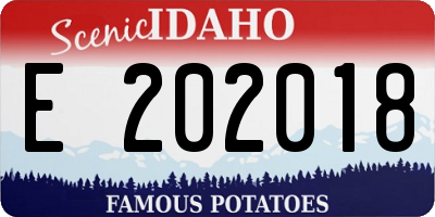 ID license plate E202018