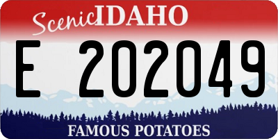 ID license plate E202049
