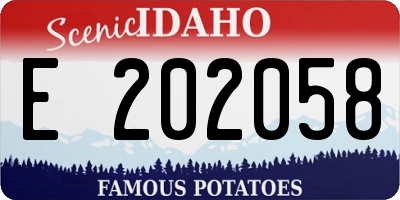 ID license plate E202058
