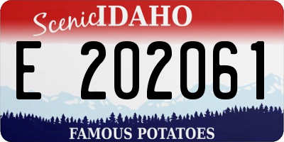 ID license plate E202061