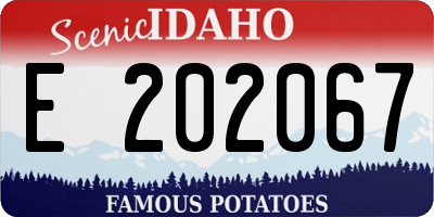 ID license plate E202067