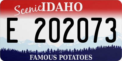 ID license plate E202073